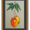 Owoce Mango